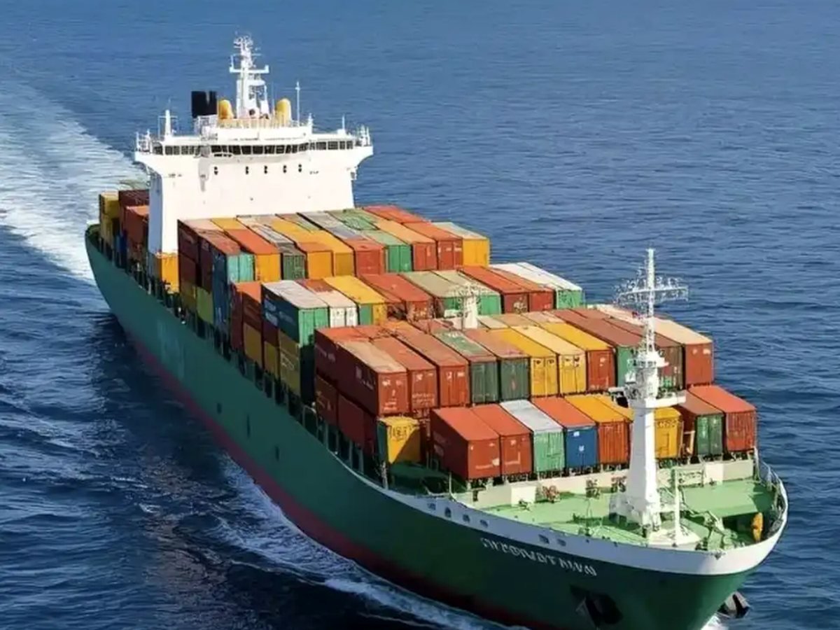 Container ship sea export route for private label cat litter